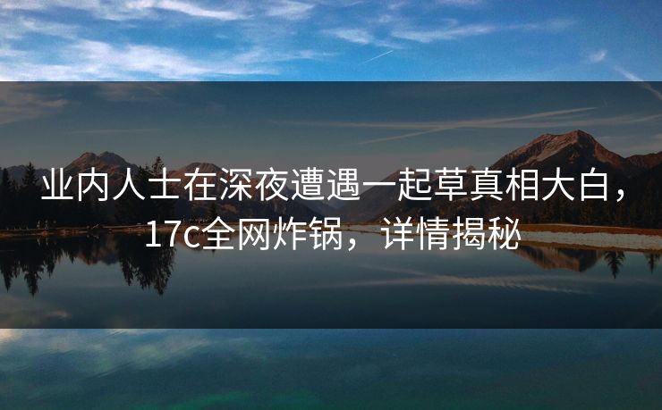 业内人士在深夜遭遇一起草真相大白，17c全网炸锅，详情揭秘