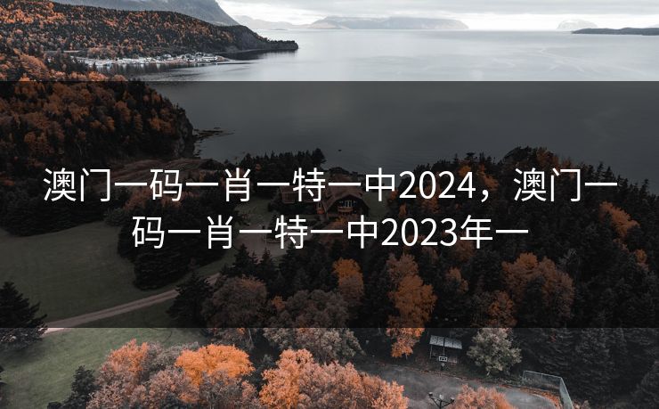 澳门一码一肖一特一中2024，澳门一码一肖一特一中2023年一