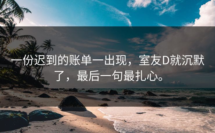 一份迟到的账单一出现，室友D就沉默了，最后一句最扎心。