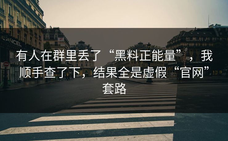 有人在群里丢了“黑料正能量”，我顺手查了下，结果全是虚假“官网”套路